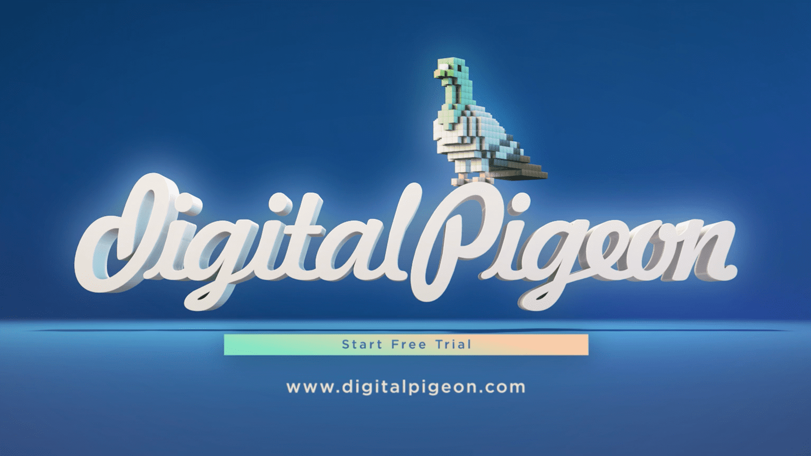 DigitalPigeon_video